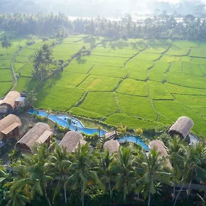 Villa Beehouse Dijiwa Indonesia